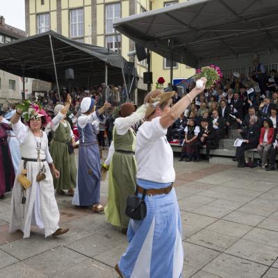 Landesfestumzug 2015 in Bruchsal